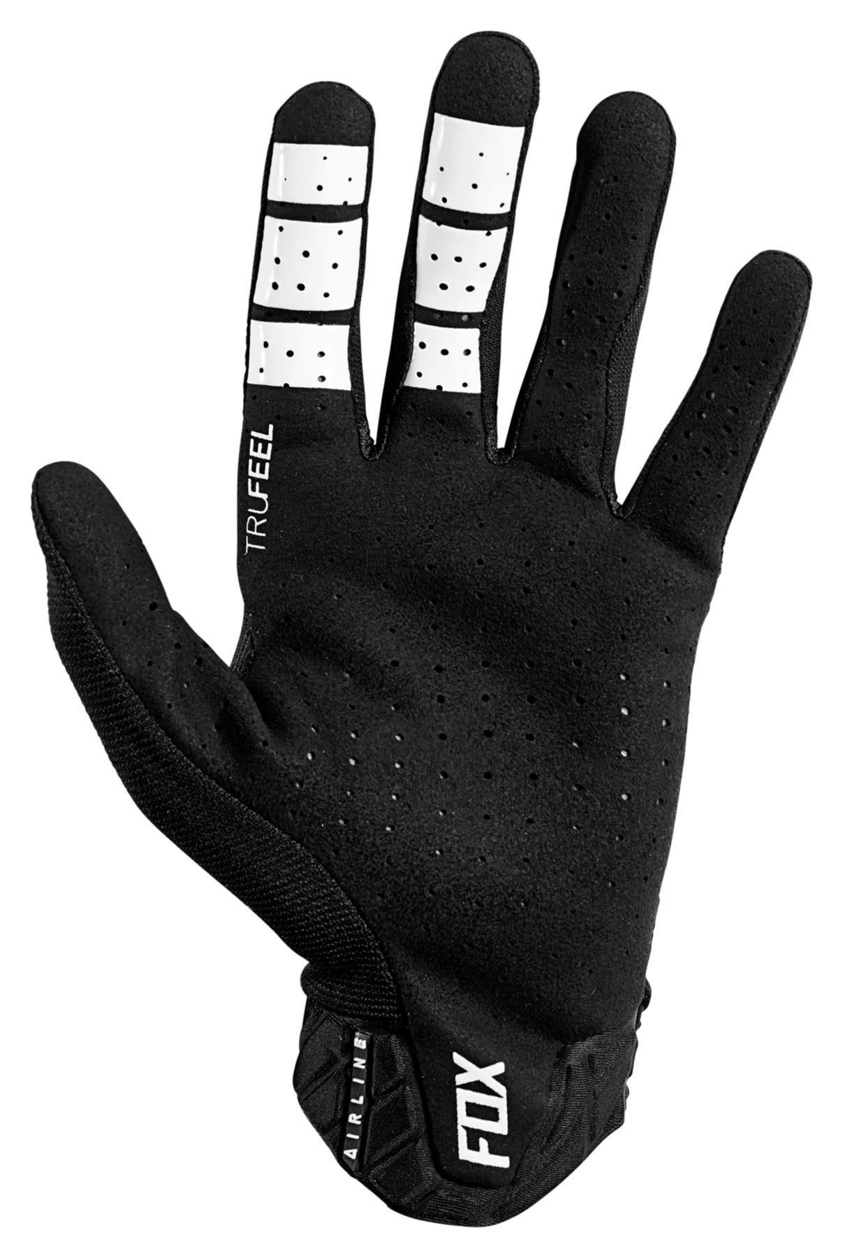 Fox Airline – Image 2